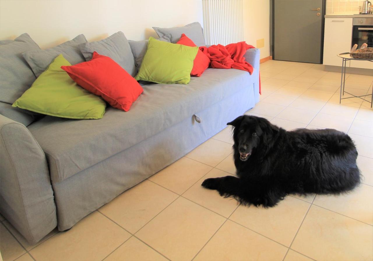 Haus Martina By Isa Agentur Apartment บาด ไคลน์เคิร์ชไฮม์ ภายนอก รูปภาพ